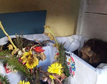 CAMPECHE: SACAN A LOS MUERTOS PARA LAVAR SUS HUESOS.