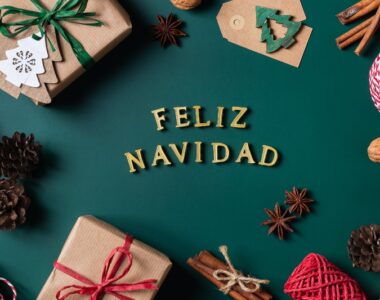 GUÍA DE SUPERVIVENCIA NAVIDEÑA MARIEL DE VIAJE: