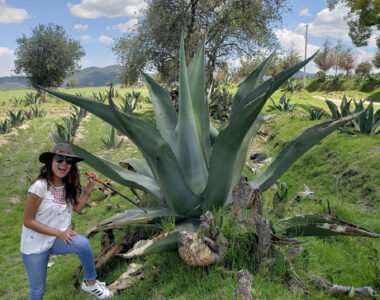 5 destinos para viajar en el puente