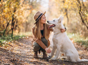 ¿Quieres llevar de viaje a tu mascota? Consejos para no sufrirlo