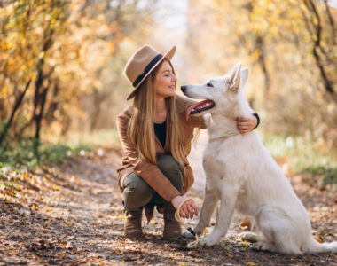 ¿Quieres llevar de viaje a tu mascota? Consejos para no sufrirlo